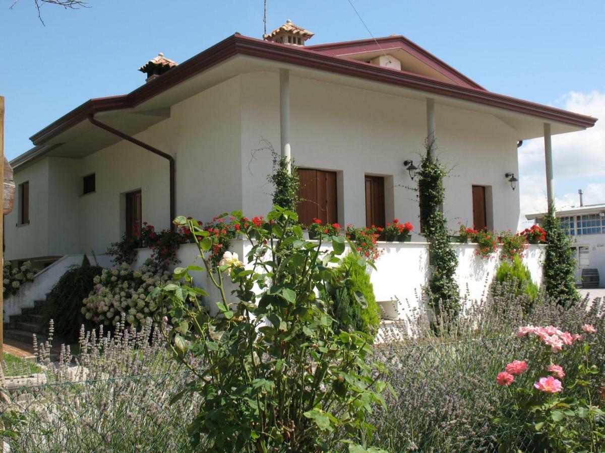 Agriturismo Ballaminut Terzo d' Aquileia Exterior foto